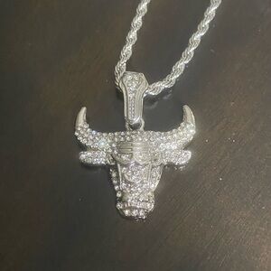 NWOT! Chicago Bulls Bling Bulls Pendant on 18” Stainless Steel Rope Chain